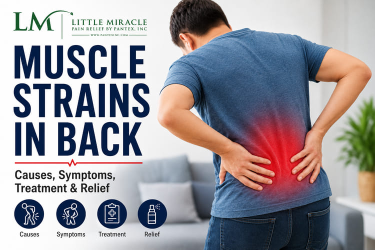 Muscle Strains in Back Causes, Symptoms, Treatment, and Relief Options